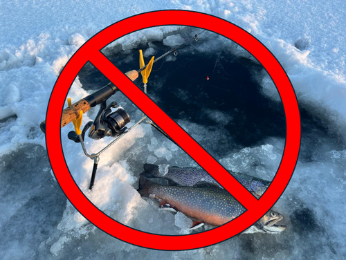 Snímek obrazovky 2026-01-16 133258.png